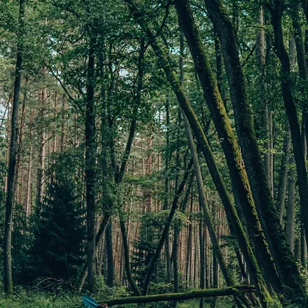 Lan Sztuk Pokoje Сasa de vacaciones